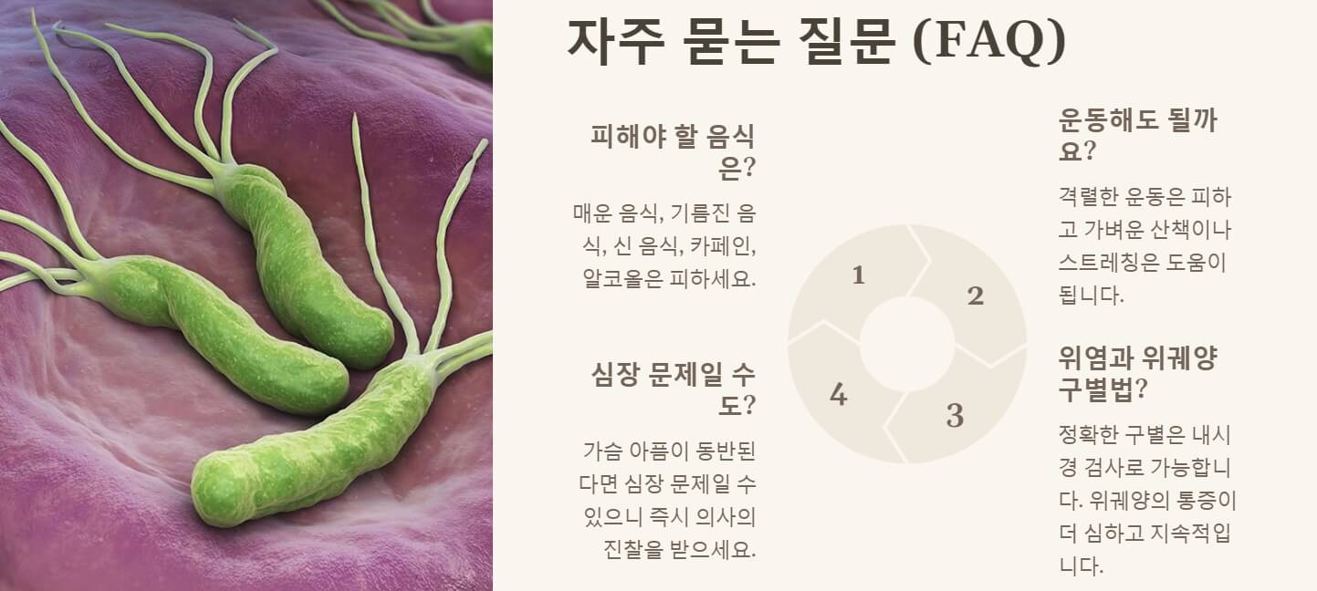 위가 쓰리고 아플때