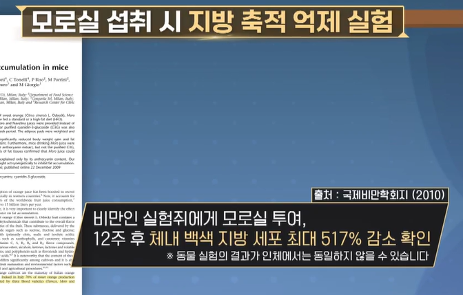 모로실 효능