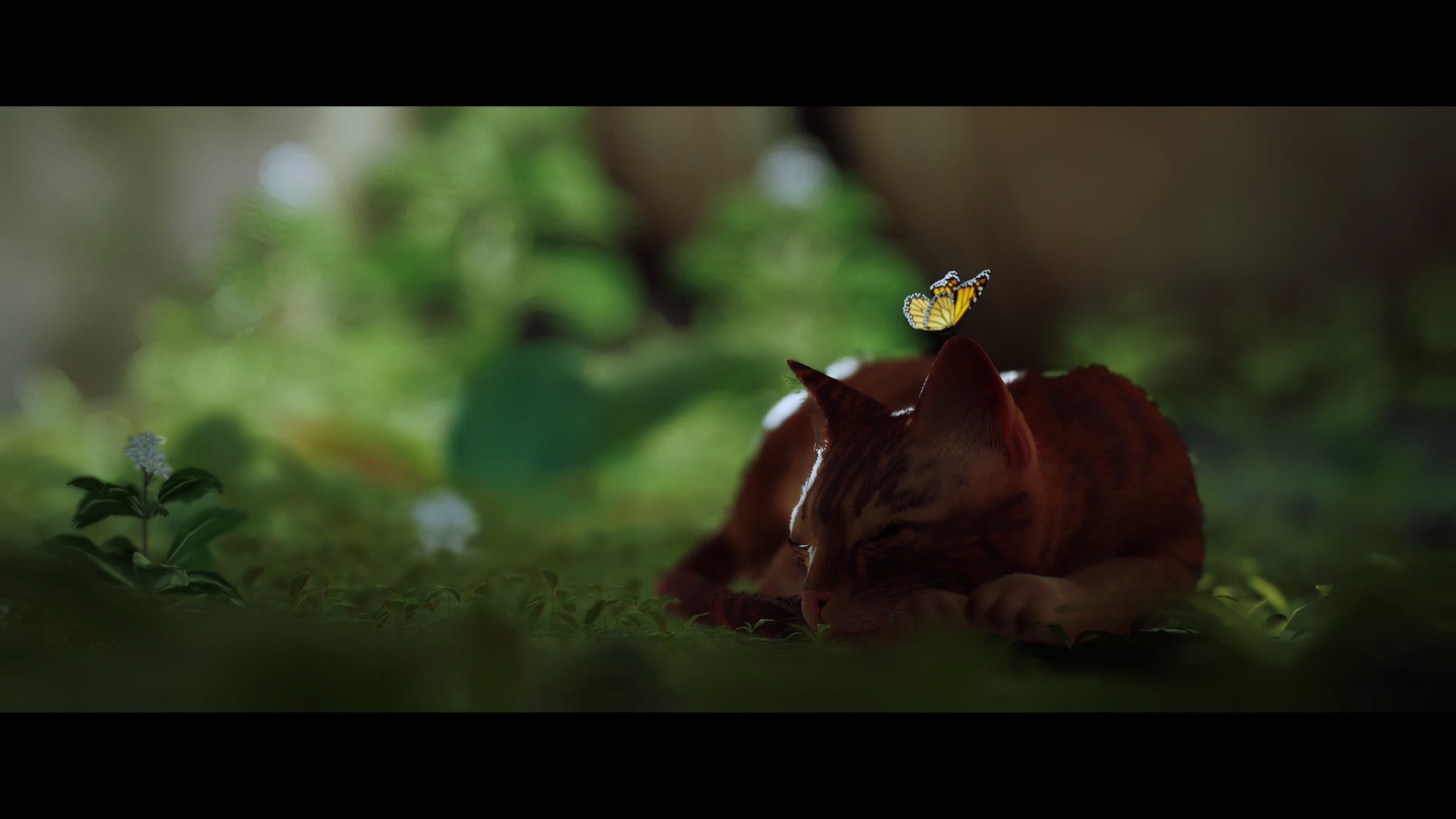 스트레이 게임 이미지