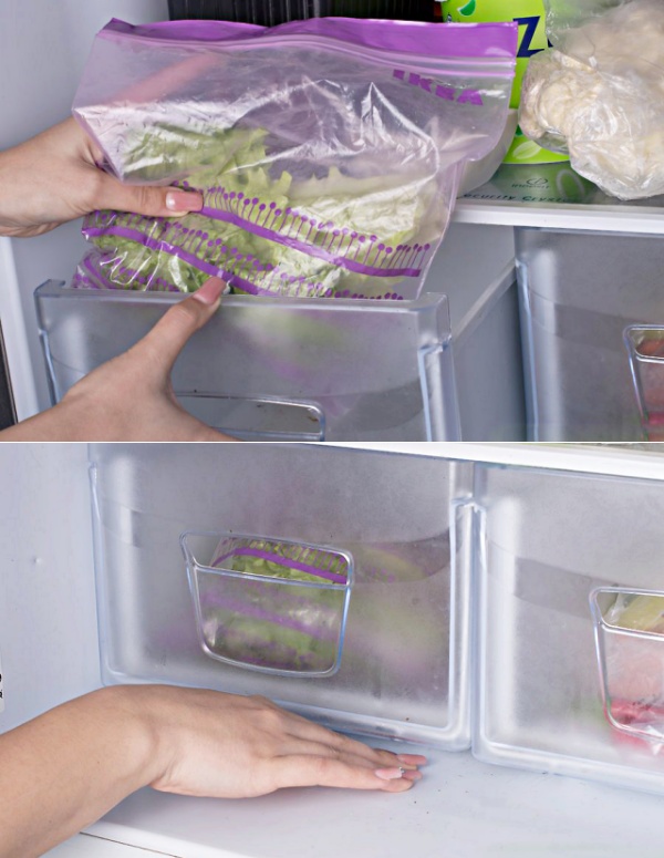 상추 보관기간, 상추 보관법,