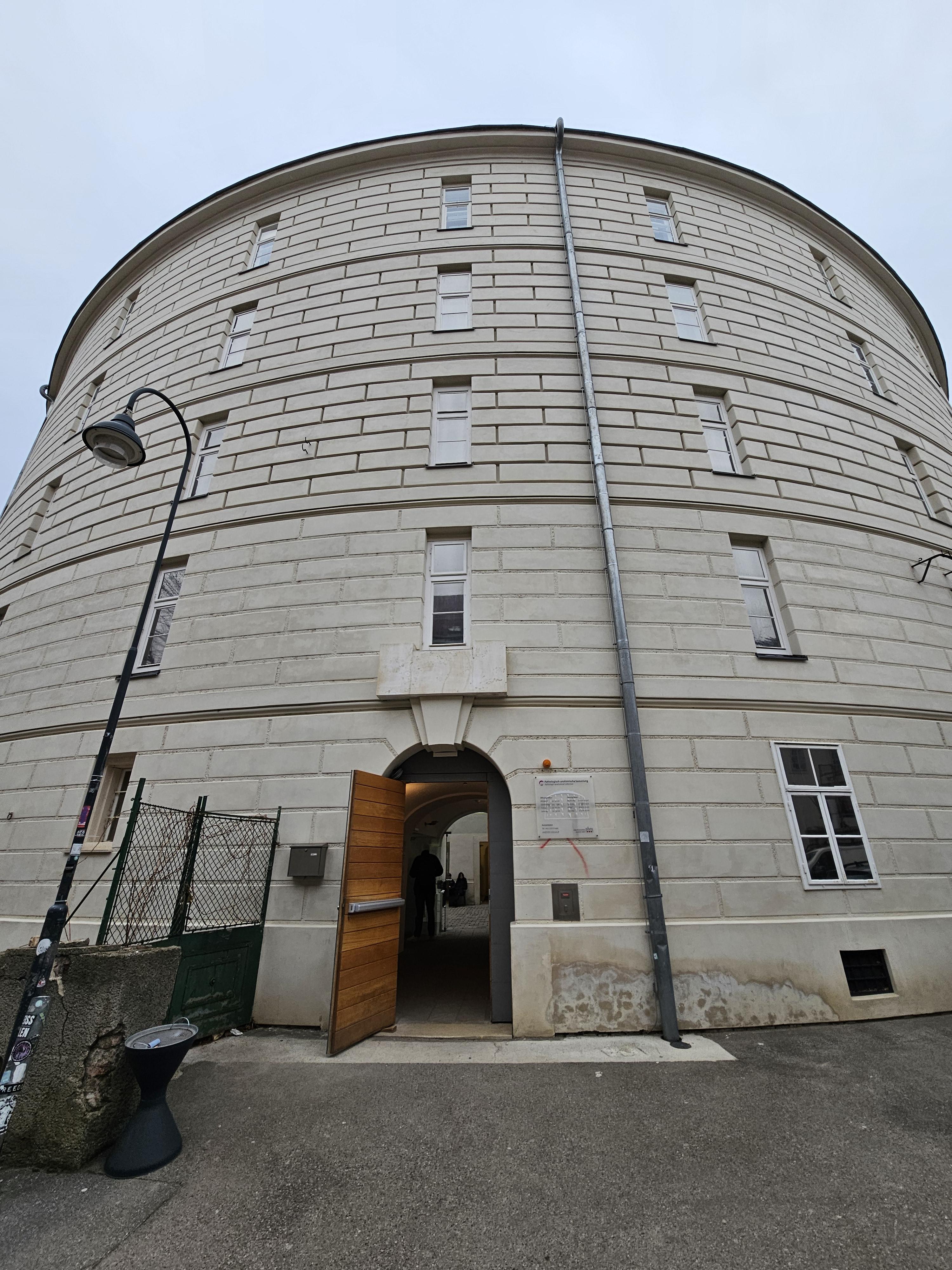 연방 병리,해부학 박물관