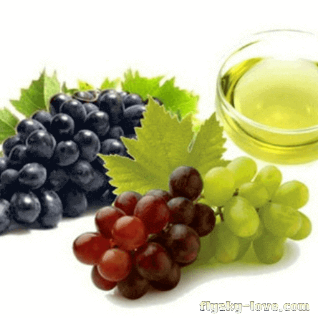 포도씨유 활용법