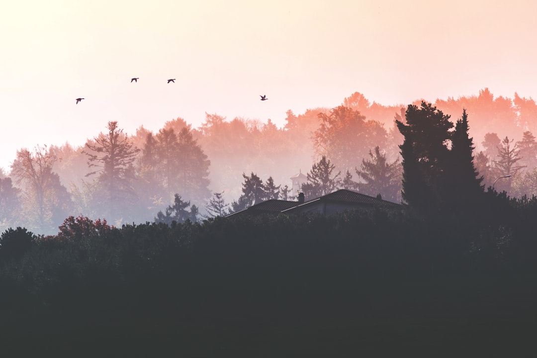 Autumn.