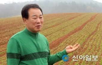 홍화 재배 건조 기후 적합 파종 요령 채종 관리_7