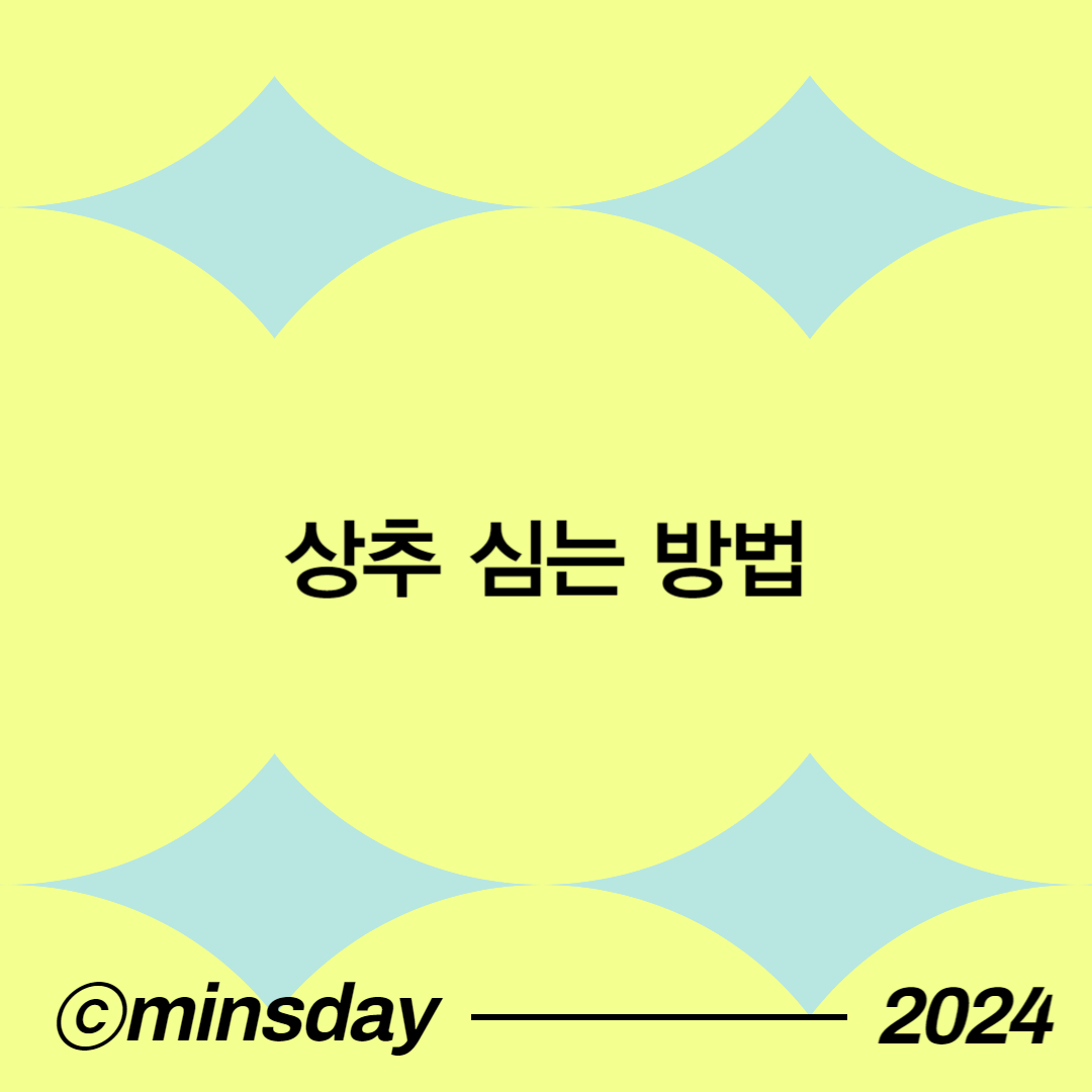 상추키우기