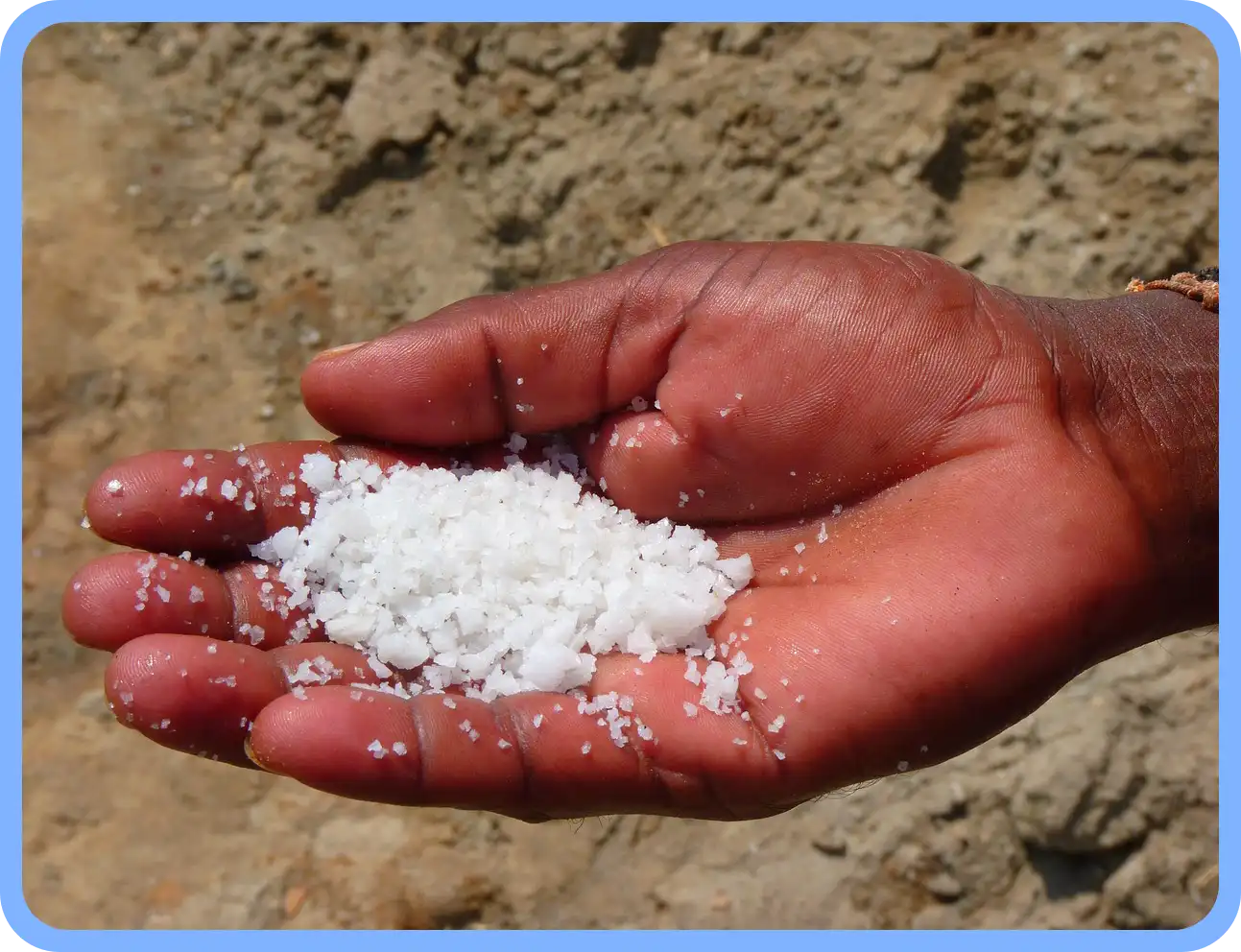 멸치젓 새우젓 굴 천일염 김장 재료 할인 세일 50% 코리아 수산 페스타