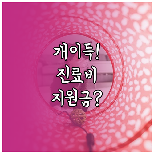 김해시 반려동물 등록 및 진료비 지원..