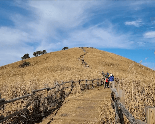 민둥산 억새축제 완벽 등산코스