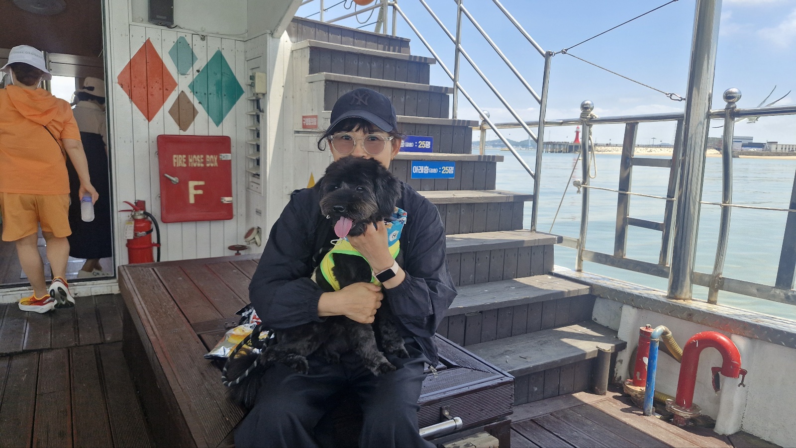 강아지가 앞발로 톡톡 건드리는 이유 7가지 (심리 해석 포함)