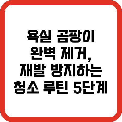 욕실 곰팡이 완벽 제거, 재발 방지하는 청소 루틴 5단계