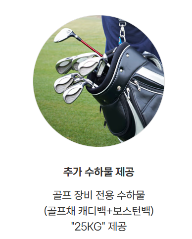 추가 수하물 제공