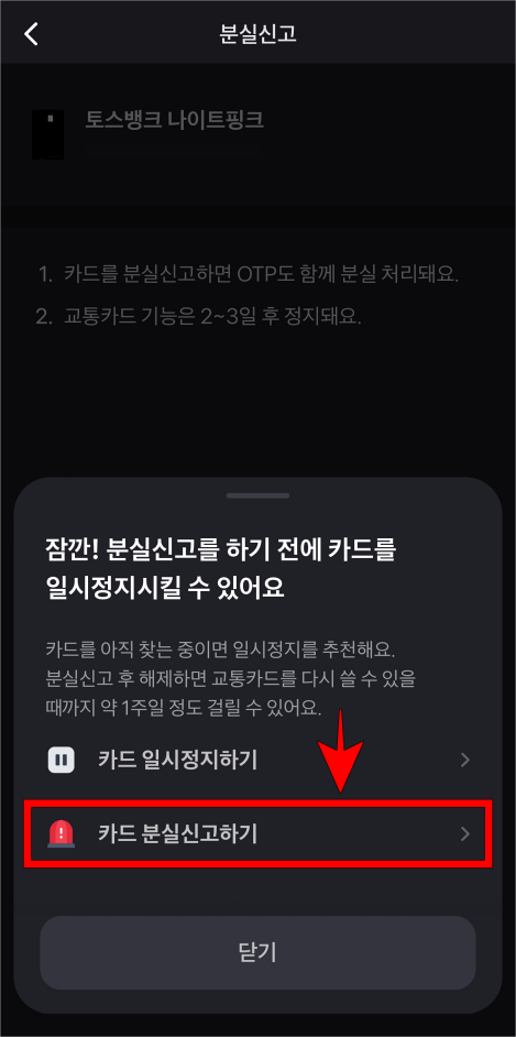 카드 정지 안내의 "카드 분실신고하기"를 선택