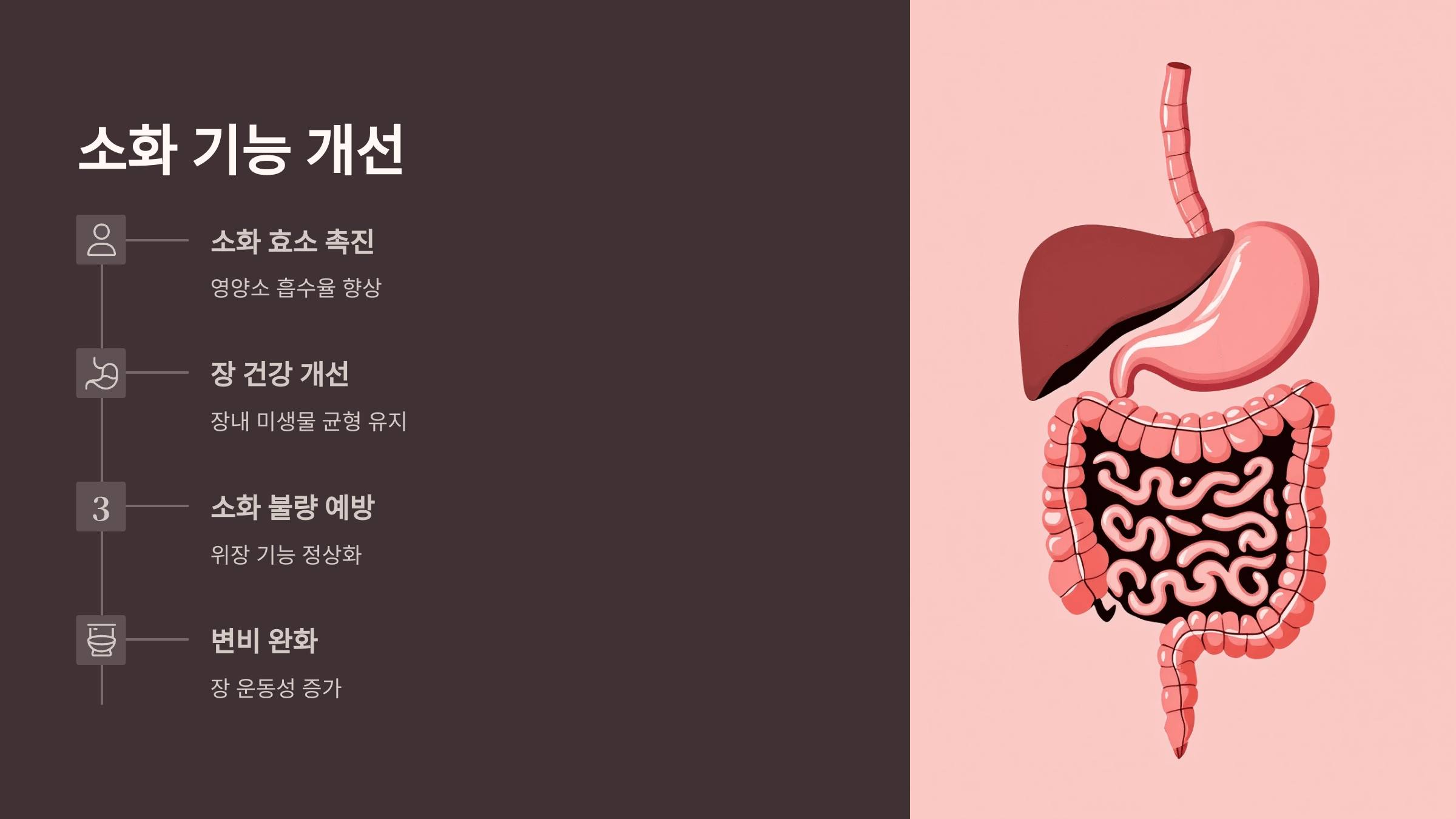 상황버섯 사진입니다.