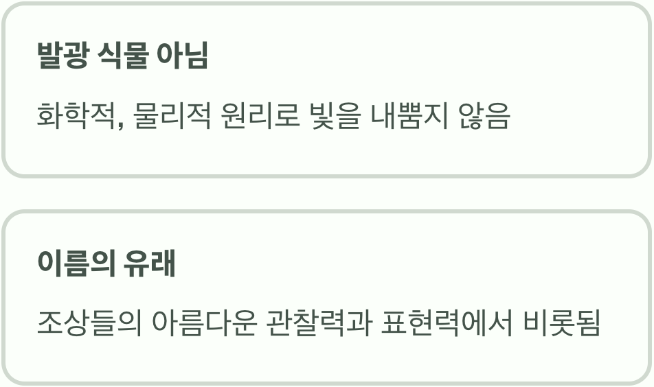 이름에 얽힌 오해와 진실