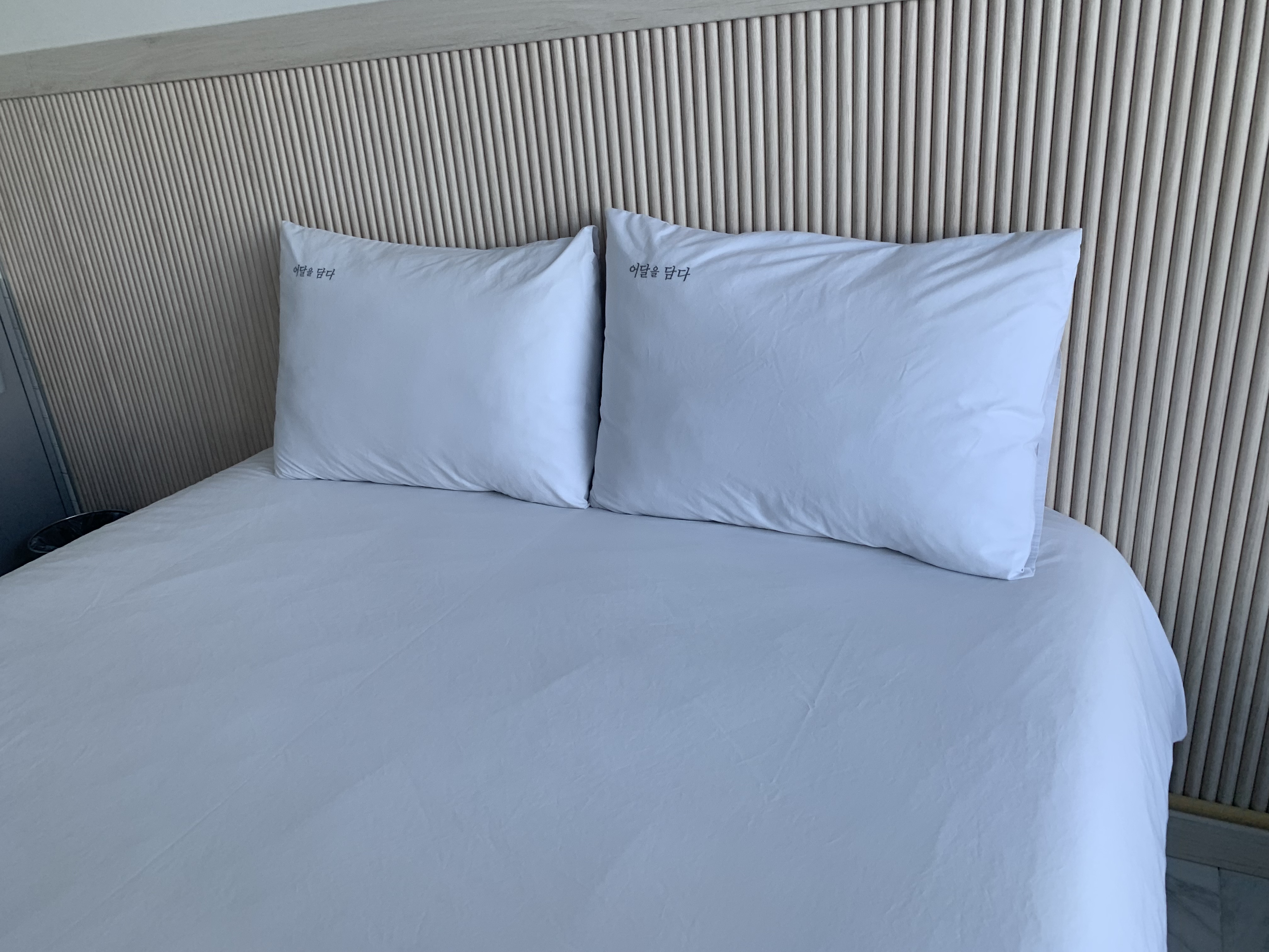 묵호 오션뷰 숙소 어달을담다 후기🌊 통창뷰에 청결까지 완벽한 펜션 추천!