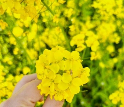 봄 여행지 추천