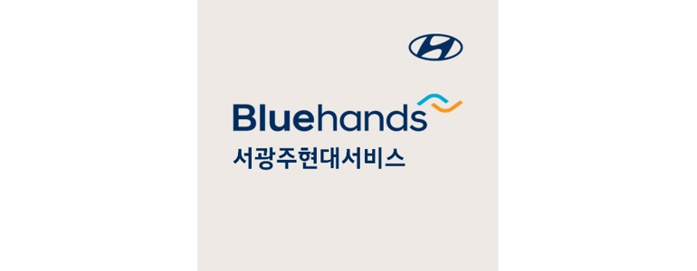 광주 북구 블루핸즈