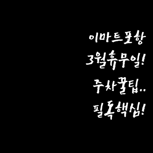 2026년 3월 이마트 포항점 쇼핑 ..