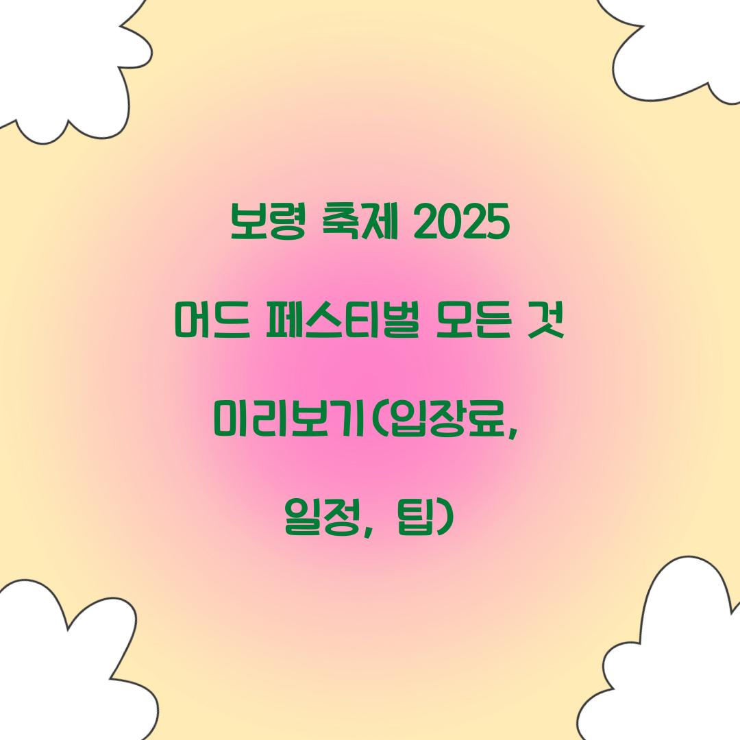 보령 축제 2025 머드 페스티벌