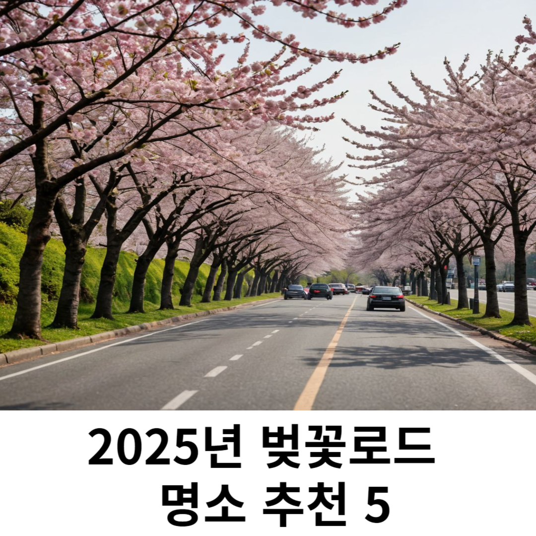 벚꽃 드라이브 코스 추천5 관련사진