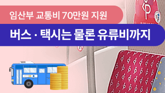 서울 임산부 교통비