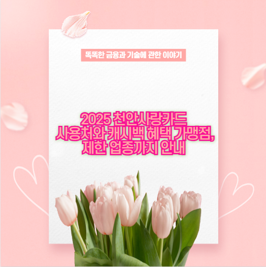 2025 천안사랑카드 사용처와 캐시백 혜택 가맹점, 제한 업종까지 안내