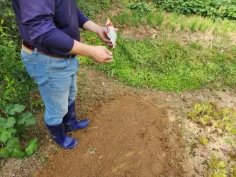 2025년 10월에 파종하기 좋은 작물들 농업 재배법_5