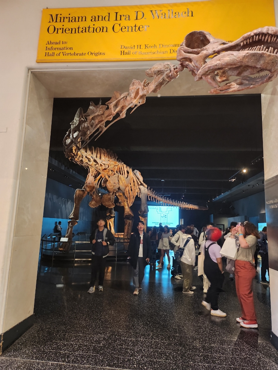 뉴욕 도보여행