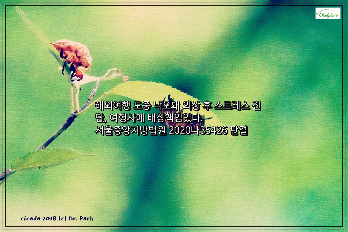 해외여행 도중 낙오돼 외상 후 스트레스 진단&#44; 여행사에 배상책임있다. 서울중앙지방법원 2020나35426 판결
