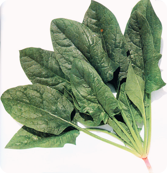 갱년기에-좋은-식품