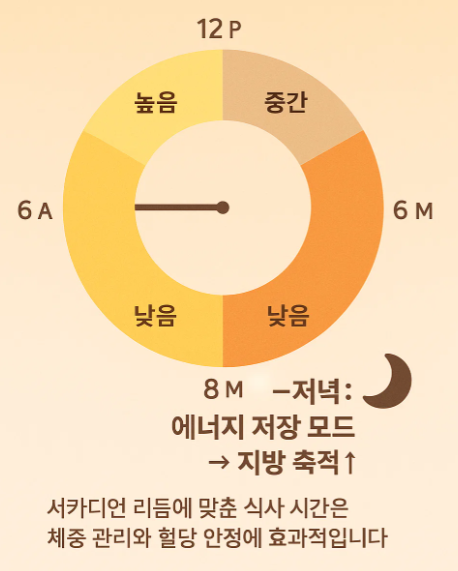 생체 리듬에 맞춘 섭취 전략