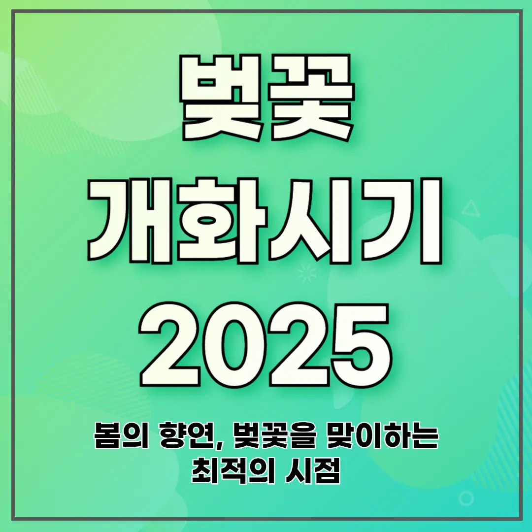 벚꽃 개화시기 2025: 봄의 향연, 벚꽃을 맞이하는 최적의 시점