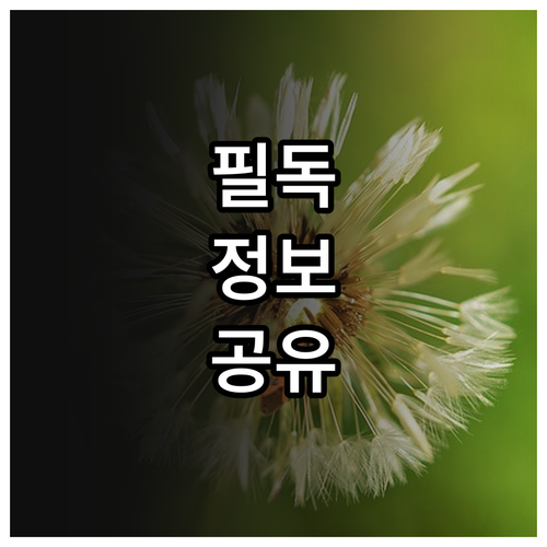 2025 인천시 고령자 주거 환경 개..