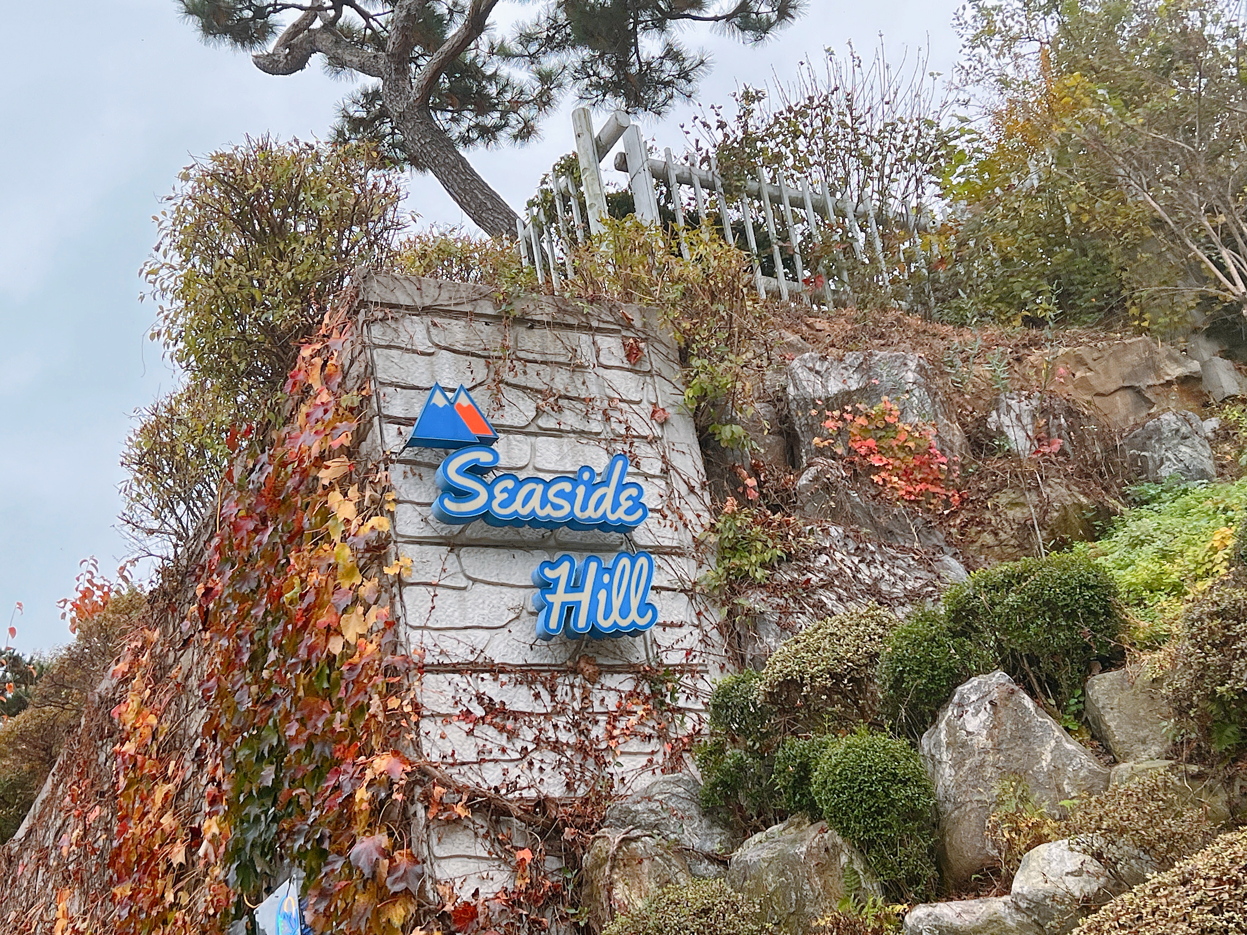 씨사이드힐캠핑장