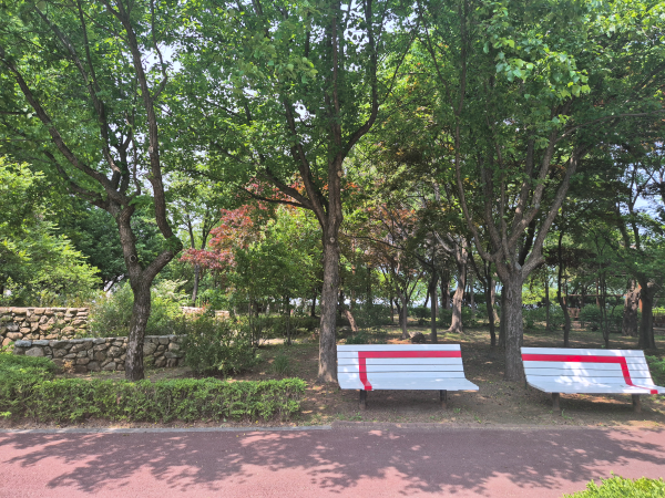 나무 그늘 아래 놓인 두 개의 하얀 벤치, 조용한 휴식 공간