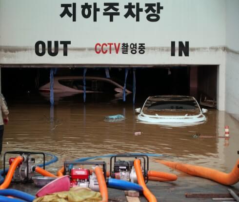 침수차량 구별법