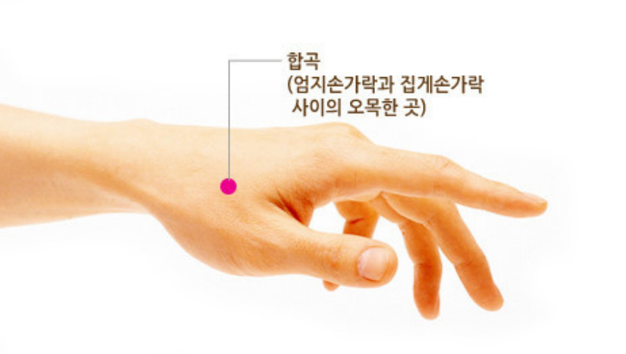 인체의 365혈 중에서 손에 있는 혈자리인 합곡혈의 위치인 엄지와 검지 사이의 오목한 곳이라는 것을 자세히 설명을 해주고 있는 사진