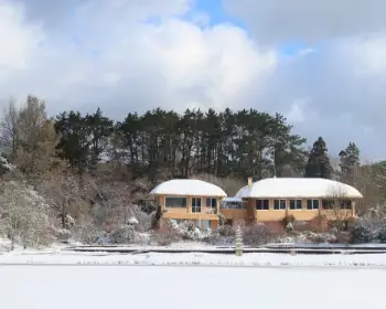 천리포수목원 목련 축제_26