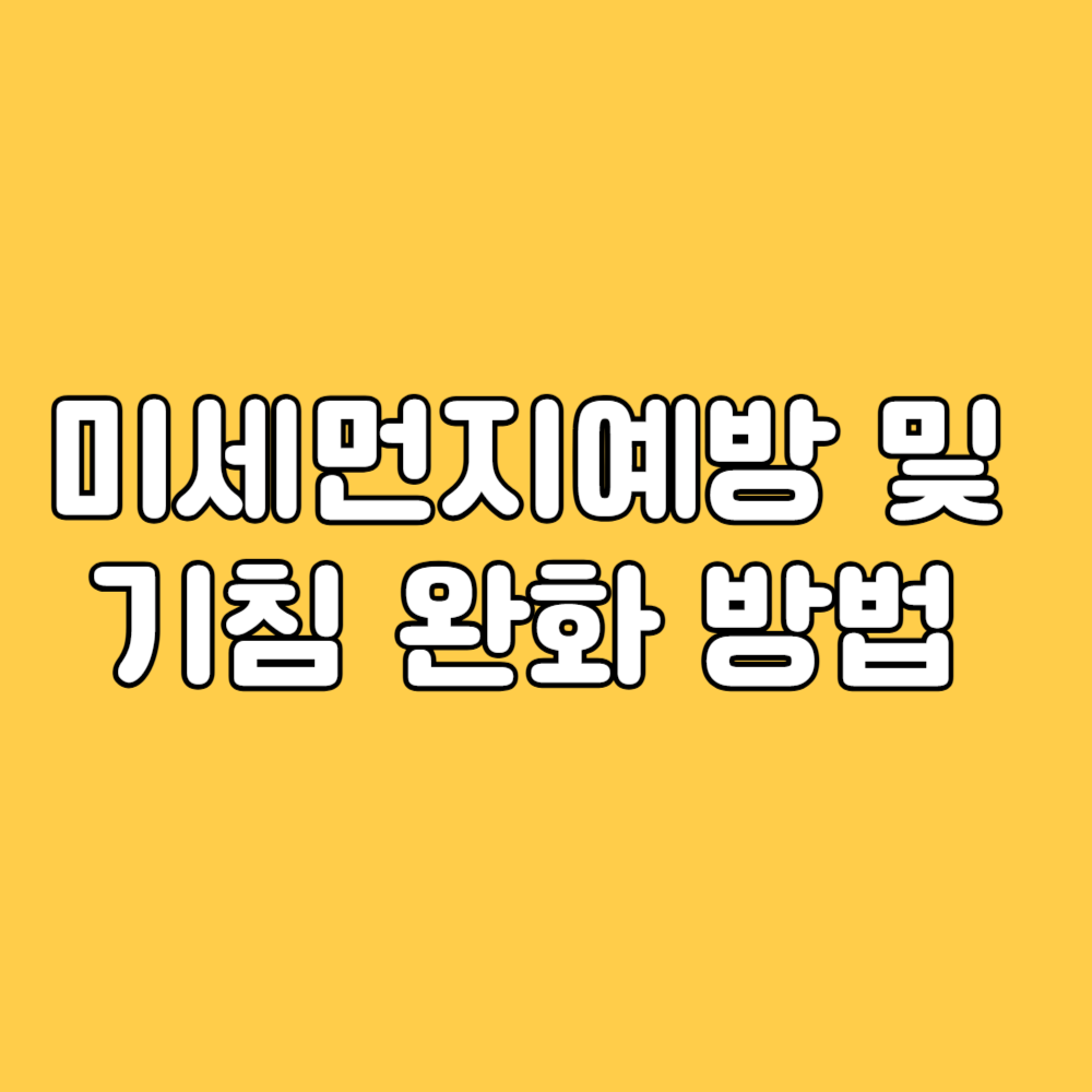 미세먼지 예방 방법
