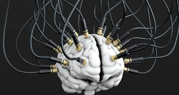 뇌전증 증상, 원인, 치료법 총 정리 (2025 ver.)