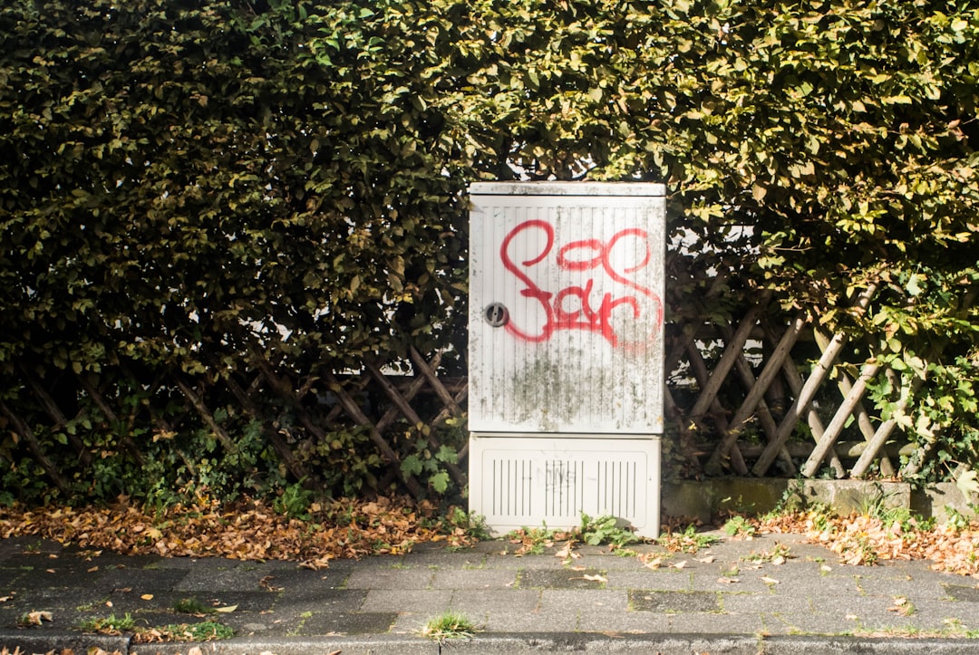 'Lease'