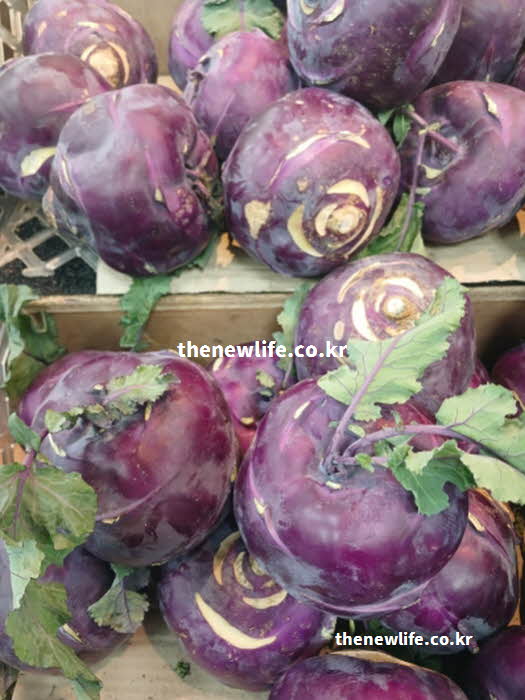 콜라비 효능을 극대화하는 올바른 섭취 방법을 보여주는 실사진