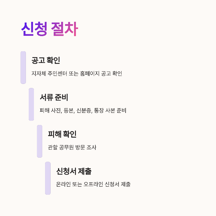 2025 재난지원금