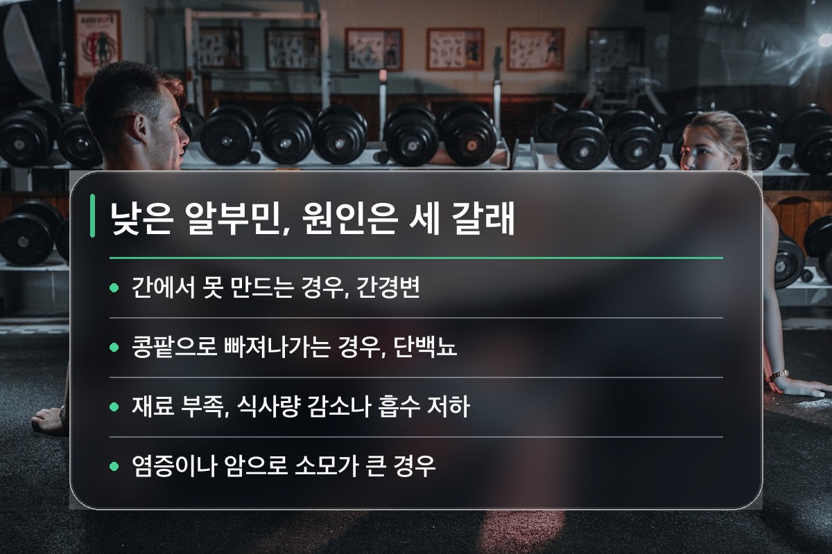 알부민 수치 알부민 수치가 낮으면 어떤 병을 의심하나요?