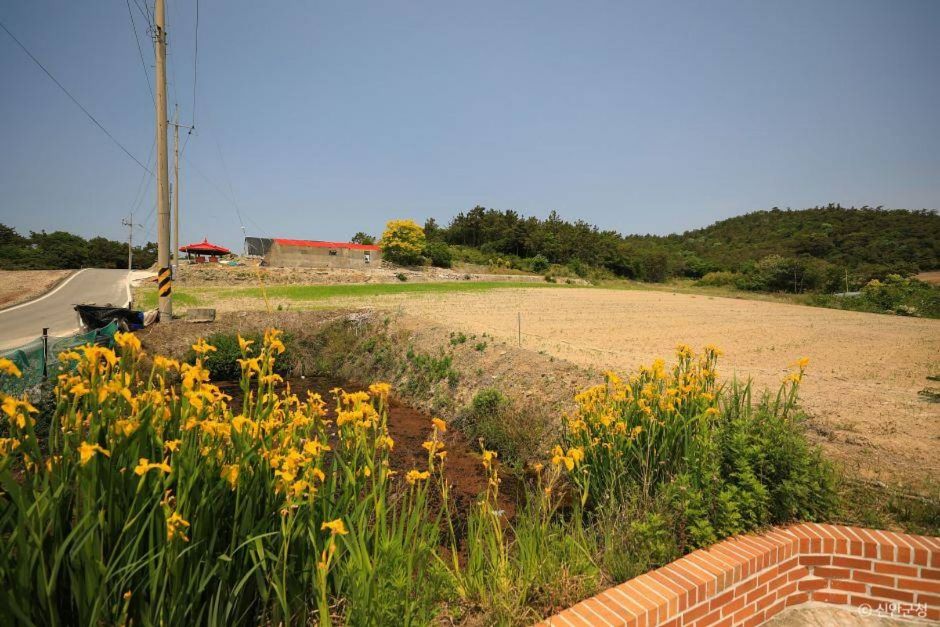 신안 가볼만한곳 베스트10