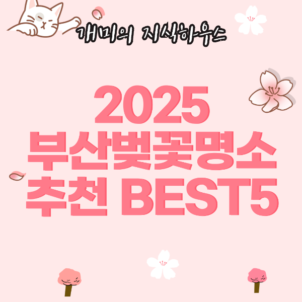 2025부산벚꽃명소추천