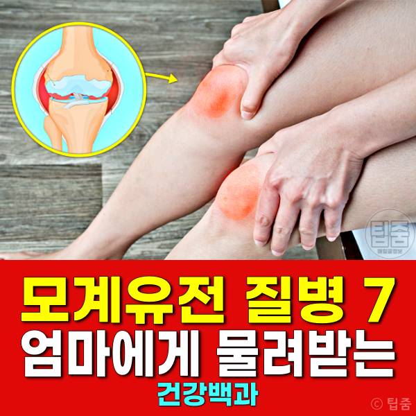모계유전 질병 골다공증 류마티스관절염 녹내장 고지혈증 치매 유방암 난소암