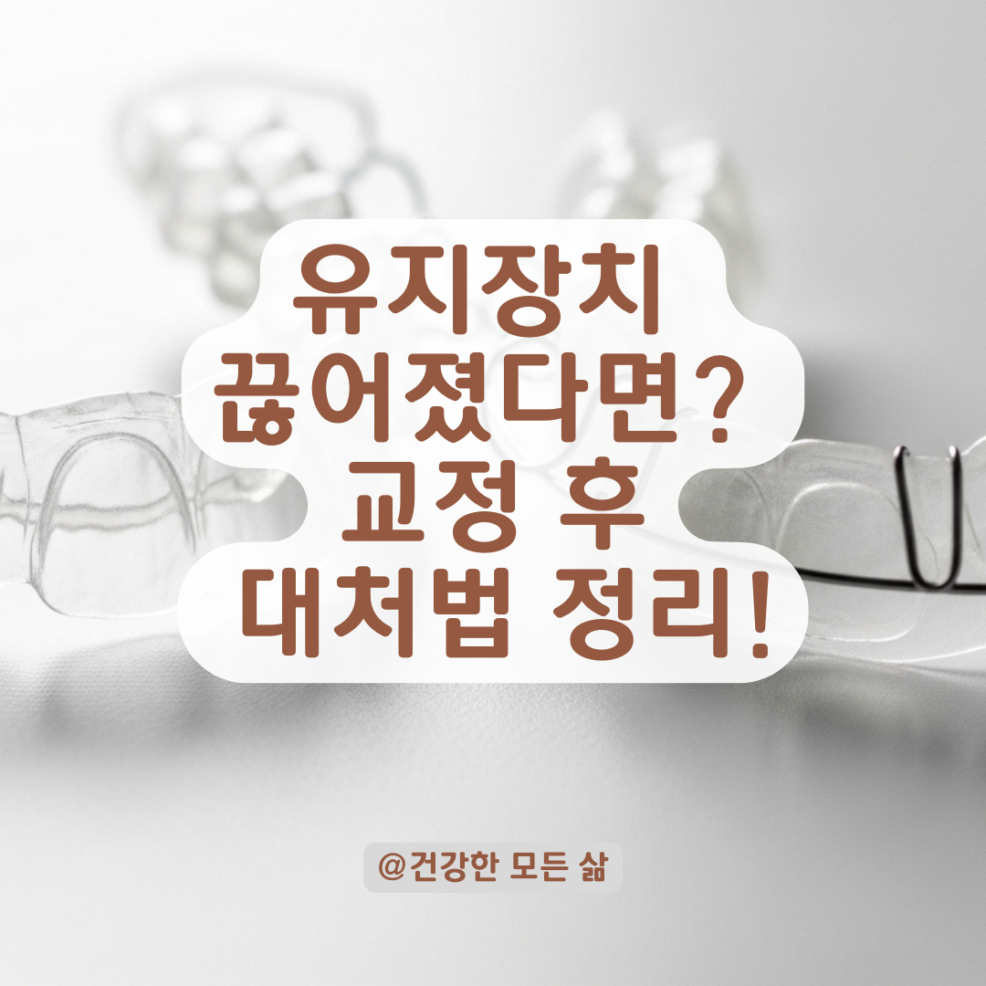 교정 후 유지장치 끊어졌다면? 유지장치 탈락 후 조치법 총정리.