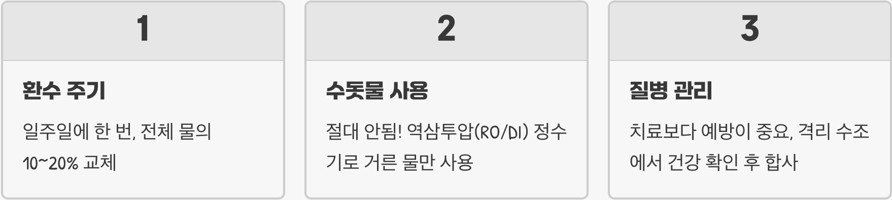 해수어 키우기 A to Z (어항, 비용, 입문 어종 총정리)