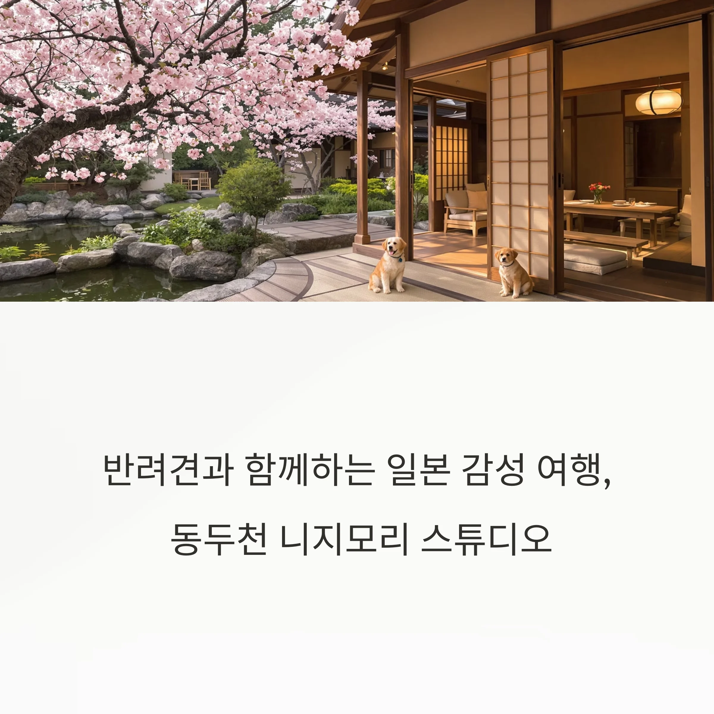 동두천 니지모리 스튜디오 애견동반 료칸